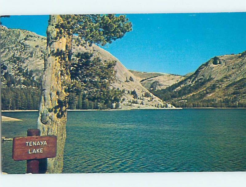 Pre-1980 LAKE SCENE Yosemite National Park - Near Stockton & Modesto CA hp6491