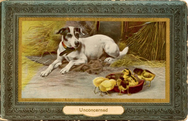 Unconcerned - Dog and Baby Chicks