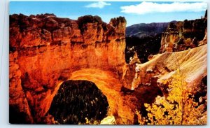 Postcard Natural Bridge Bryce Canyon National Park Utah USA North America