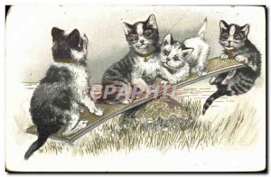 Old Postcard Cat Kitten Cats