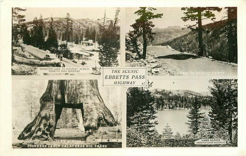 California Sierras 1930s Ebbetts Pass Highway RPPC Photo Postcard 21-13025