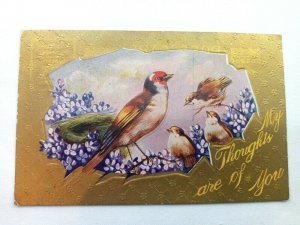 Vintage Postcard My Thoughts are with You Birds on a Limb Embossed