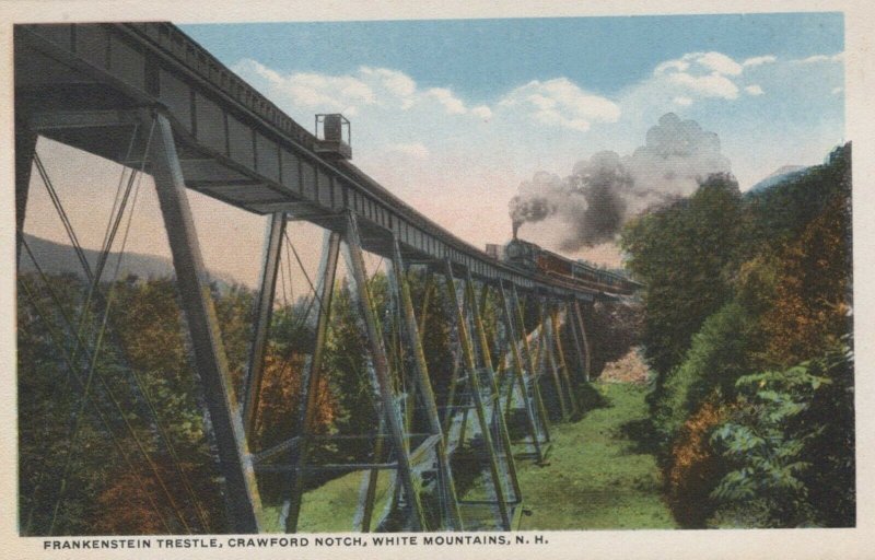 Frankenstein Trestle Crawford Notch White Mts NH Vintage White Border Post Card 