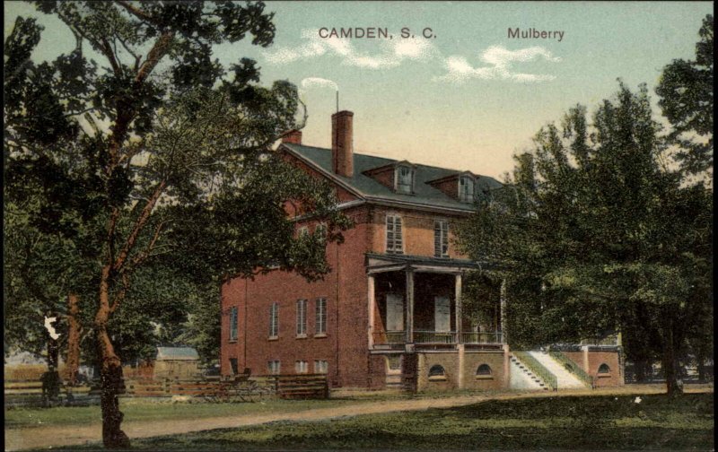 Camden South Carolina SC Mulberry Vibrant Color c1910 Vintage Postcard
