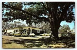 1950s ALBANY GA MERRY ACRES RESTAURANT HWY 82 OLD CARS UNPOSTED POSTCARD P3864