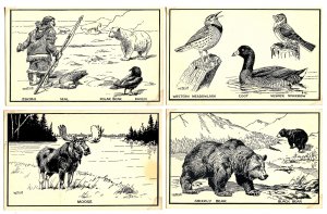 Canadian Natural History - Series of 9 Cards (#5 missing). Artist: T.M. Shortt