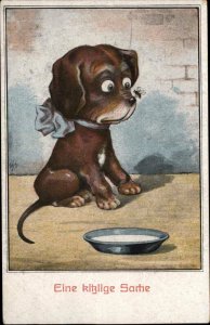 Cute Puppy Dog Watching Bee or Fly on Nose c1910 Postcard 