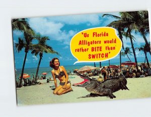 Postcard Us Florida Alligators would rather Bite than Switch, Florida