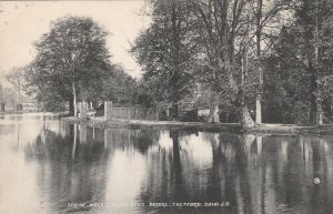 THETFORD, SPRING WALK, NUN'S BRIDGE, Norfolk - Vintage POSTCARD