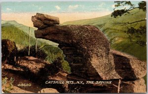 Catskill Mountains New York NY The Sphinx Rock Formations Postcard