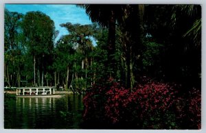 Glass Bottom Boat, Silver Springs, Ocala, Florida FL, Vintage Chrome Postcard #3