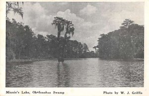 Okefenokee Swamp Georgia Minnie's Lake Scenic View Vintage Postcard AA51826