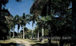 Royal Palm Drive - Miami, Florida FL
