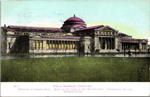 Field Museum Chicago Illinois Postcard Colorized PM 1907 & 1908 McCready Wheadon