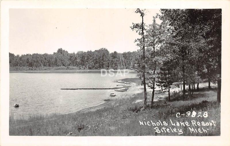 B67/ Bitely Michigan Mi Real Photo RPPC Postcard c50s Nichols Lake Resort