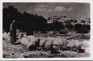 Israel Shepherds Field Palestine Vintage RPPC C035