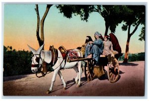 Cairo Egypt, On Drive Family Riding Horse Wagon Traditional Dress Postcard 