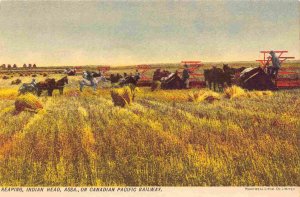 Harvest Reaping Grain Indian Head ASSA CP Railway Canada 1905c postcard