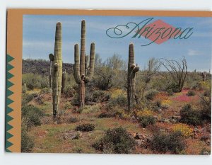 Postcard Springtime in Arizona