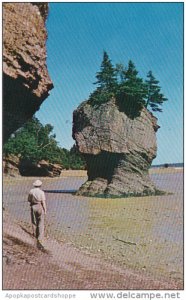 Canada New Brunswick Hopewell Rocks Peace Tranquility Rest And Nature At Its ...