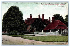 1907 Old Tree & Rectory Lodge Crawley West Sussex England Postcard