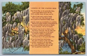 Legend Of The Spanish Moss, Vintage Linen Tichnor Postcard