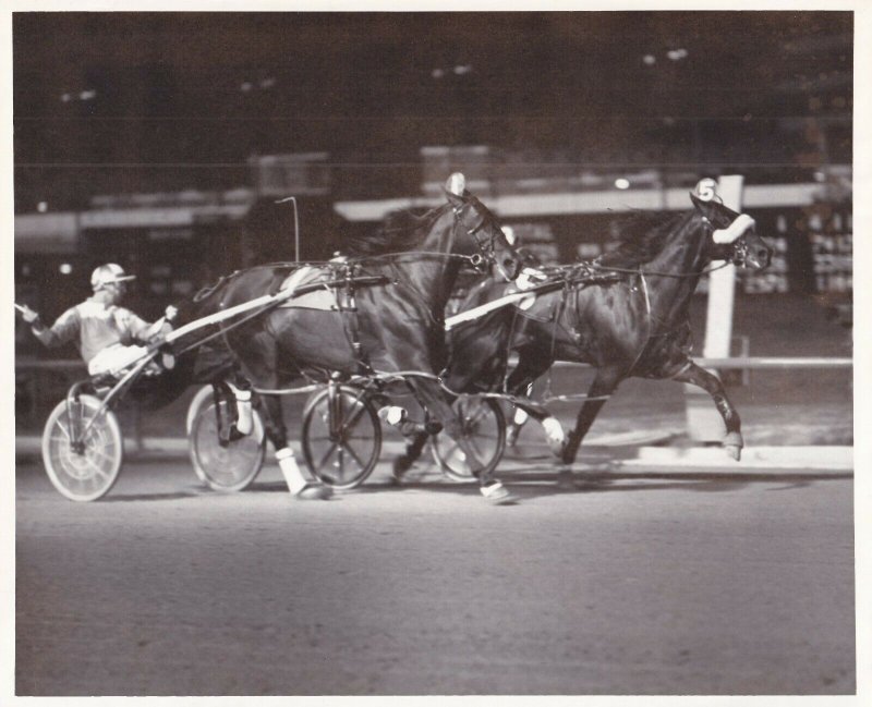 SPORTSMAN'S PARK, Harness Horse Race, AS U.R. BLUEGRASS wins, 1983