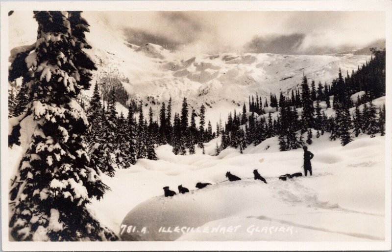 Byron Harmon 781.A Illecillewaet Glacier BC Dogs Sled Person RPPC Postcard H24
