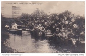 Italy Siracusa Fiume Anapo con piante plante di papiri