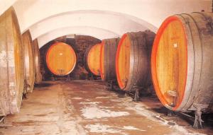 HERMANN, MO  Missouri  STONE HILL WINERY Wine Barrels in Vaulted Cellar Postcard