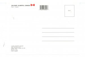 Canada - Alberta, Calgary. Skyline View (continental size)