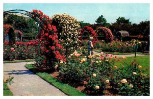 Postcard GARDEN SCENE Savannah Georgia GA AR5079