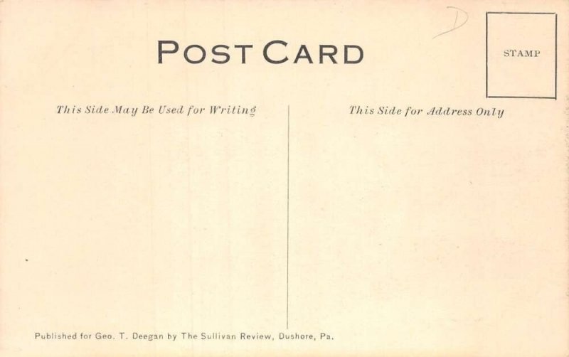 Dushore Pennsylvania LV Railroad  Horseshoe Curve Vintage Postcard AA80358