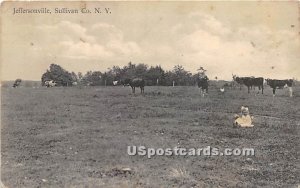 The Farm - Jeffersonville, New York NY Postcard