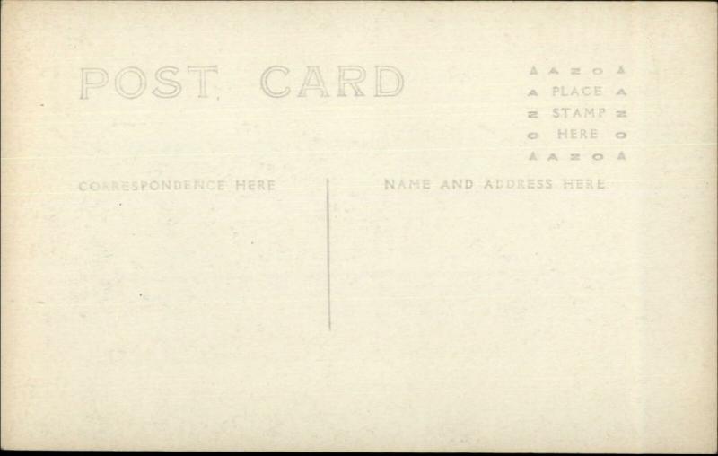 State Fair Cattle Displays Cows Multi View c1910 Real Photo Postcard