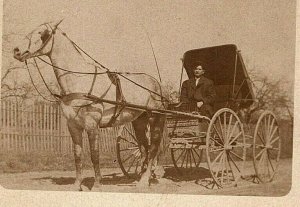 1907-15 White Horse & Buggy Rppc Postcard Single Gentleman Rider Transportation