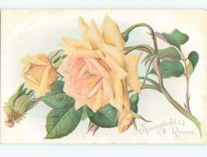 Divided-Back BEAUTIFUL FLOWERS SCENE Great Postcard AA2363