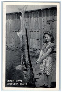 c1930's Girl Snake River Giant Sturgeon Hagerman Idaho ID Vintage Postcard