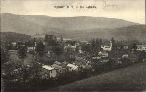 Hobart NY General View c1910 Postcard