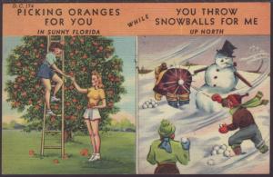 Picking Oranges For You in Sunny Florida Postcard