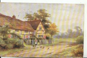 Surrey Postcard - A Homestead - Ref 15358A
