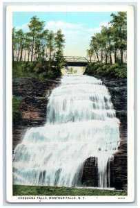 c1920 Scenic View Chequaga Falls Bridge Montour Falls New York Unposted Postcard