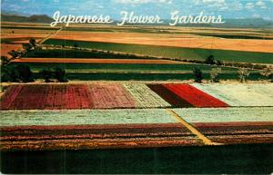 Japanese Flower Garden Phoenix Arizona AZ Postcard