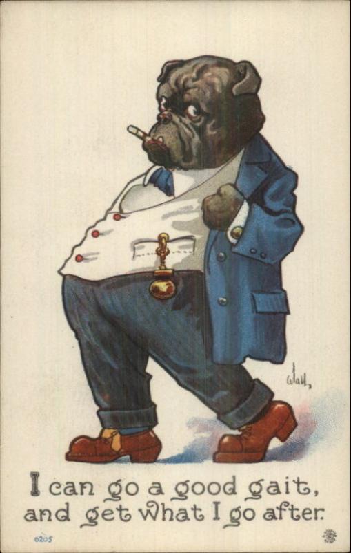 bulldog smoking cigar