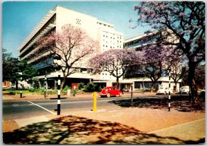 Pretoria Dazzling White Walls Purple Jacarandas University South Africa Postcard