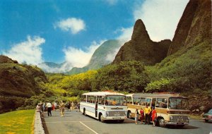 MAUI'S IAO NEEDLE Maui Island Tour Buses Hawaii c1960s Chrome Vintage Postcard