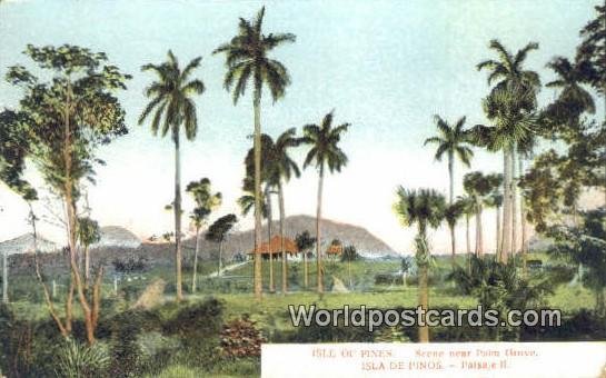 Isle of Pines, Palm Grove Isla De Pinos Cuba, Republica De Cuba 1911 Missing ...