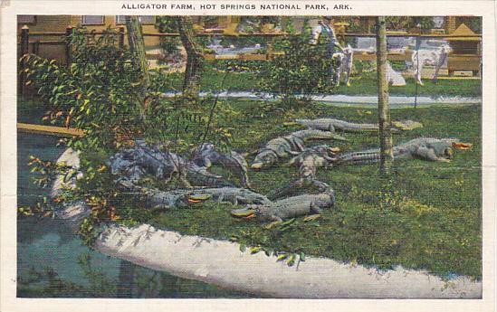 Arkansas Hot Springs Alligator Farm 1947