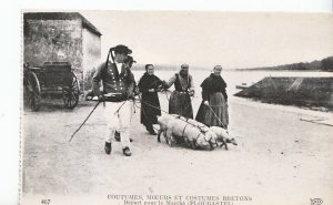 Costume Postcard - Bretons - Depart Pour Le Marche [Plougastel]   ZZ3432