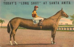 Linen Postcard Today's Long Shot At Santa Anita Race Track Long Horse #6 Arcadia
